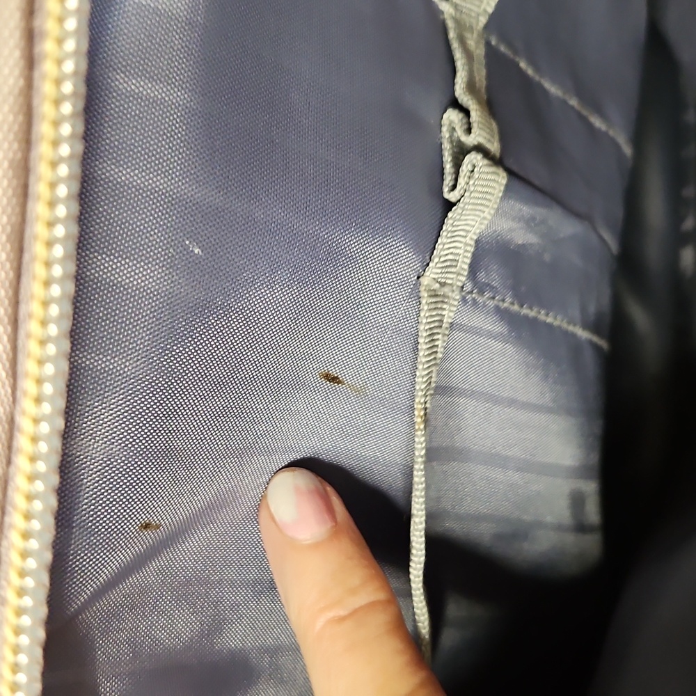 Vankean Computer Chargeable 17" Back Pack Taupe - image 4